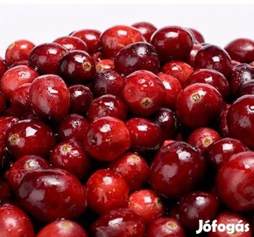 Liofilizált Vörös Áfonya  50g  (5935)