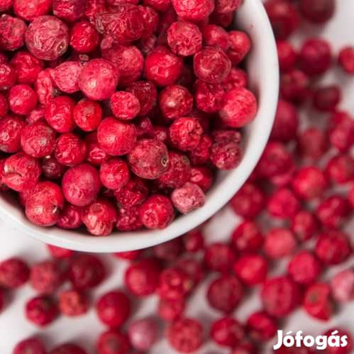 Liofilizált, Fagyasztva Szárított Ribizli 50g  (4632)