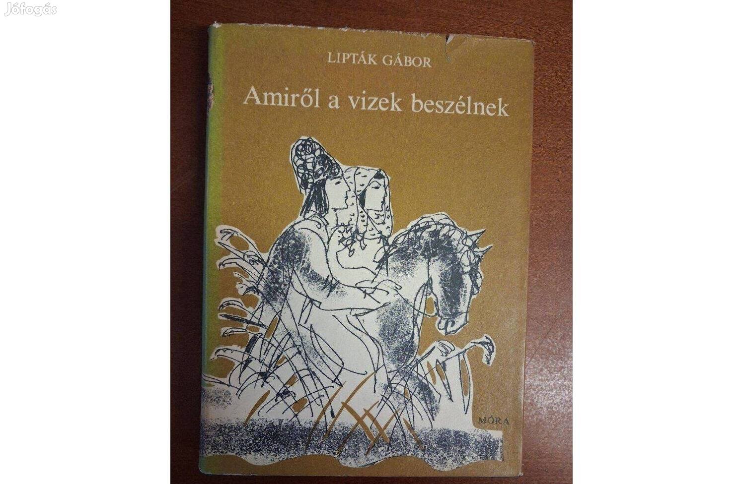 Lipták Gábor Amiről a vizek beszélnek- Dedikált példány