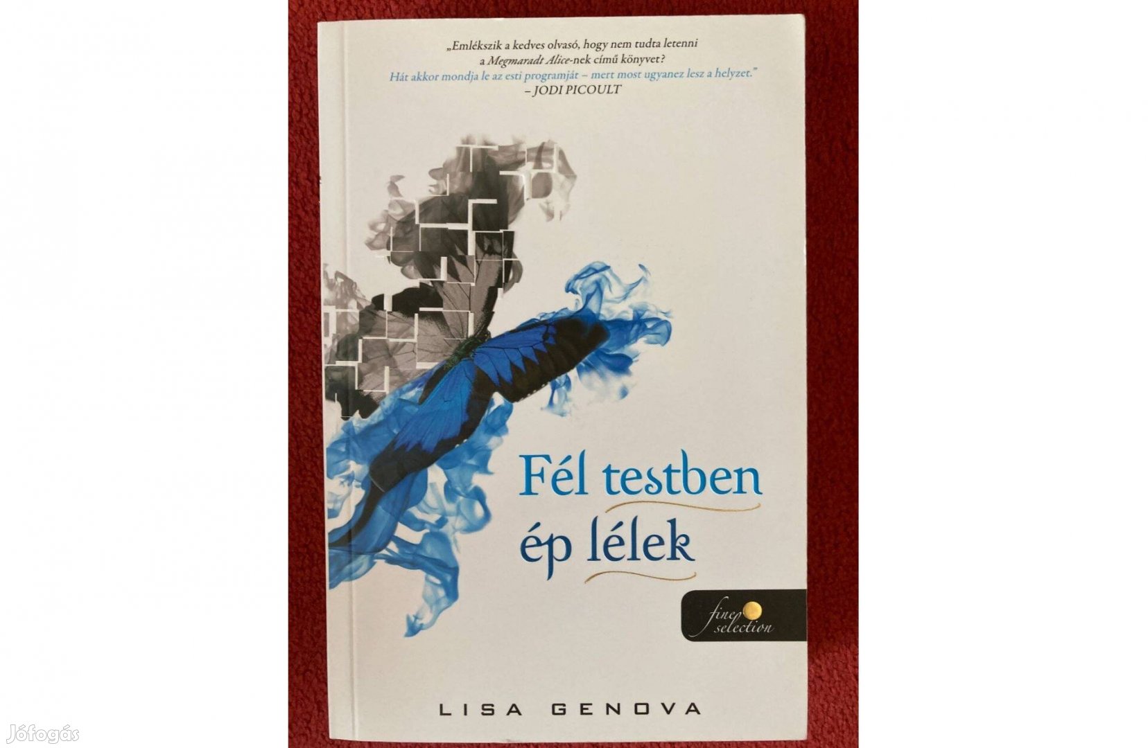 Lisa Genova Fél testben ép lélek