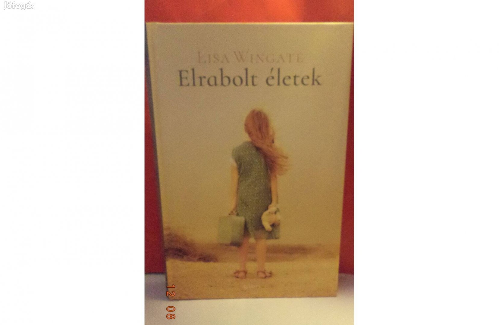 Lisa Wingate: Elrabolt életek