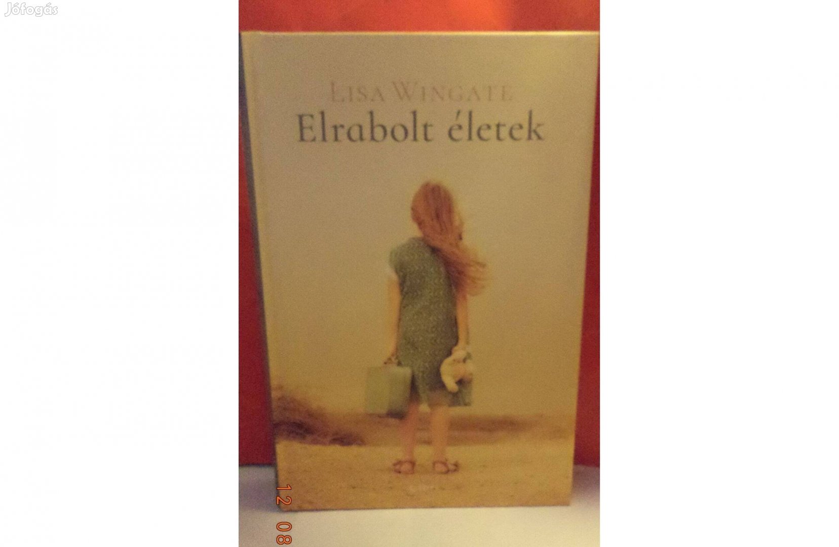 Lisa Wingate: Elrabolt életek