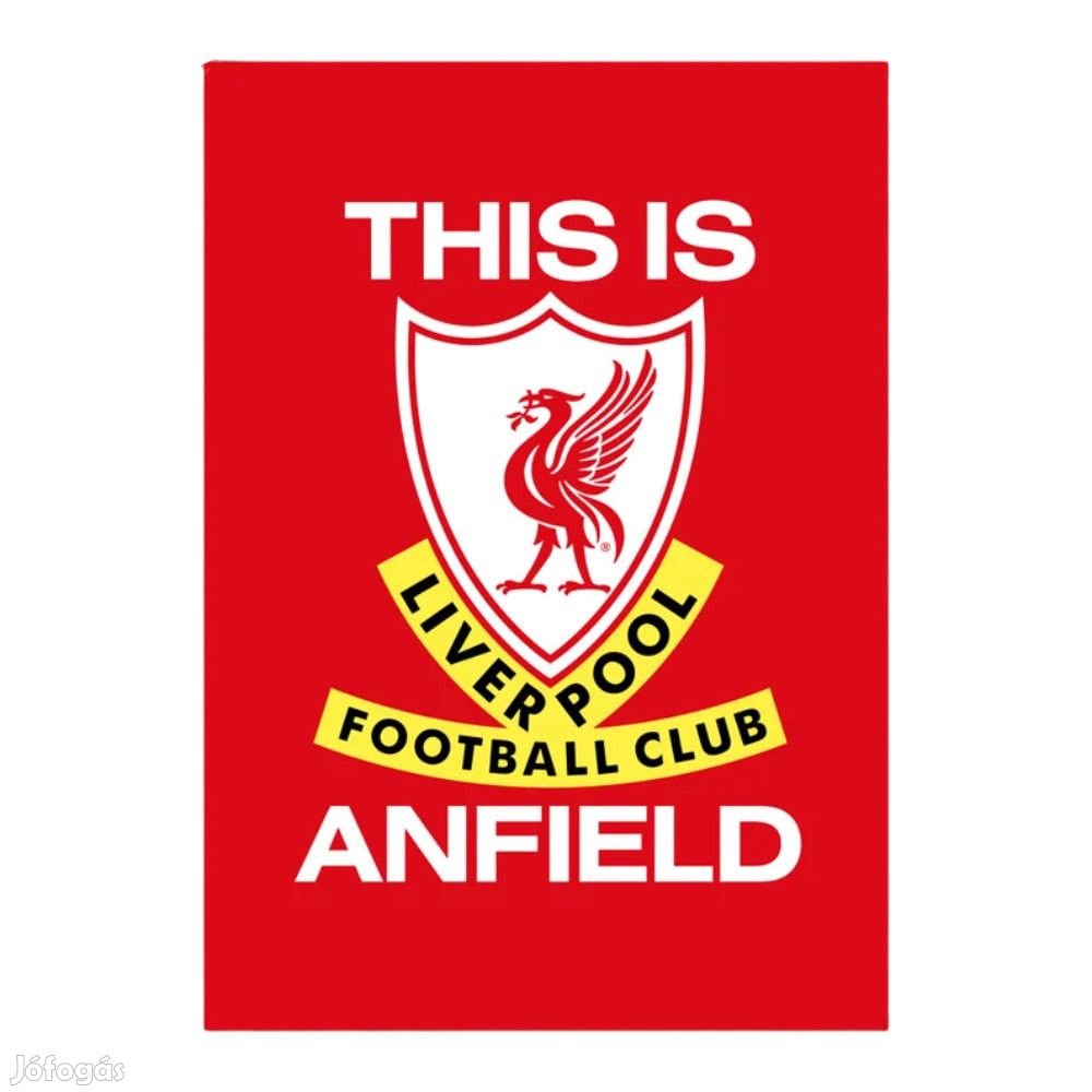 Liverpool takaró ANFIELD wellsoft piros 100150