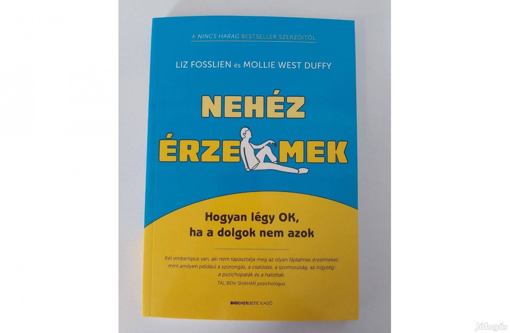 Liz Fosslien Mollie West Duffy: Nehéz érzelmek