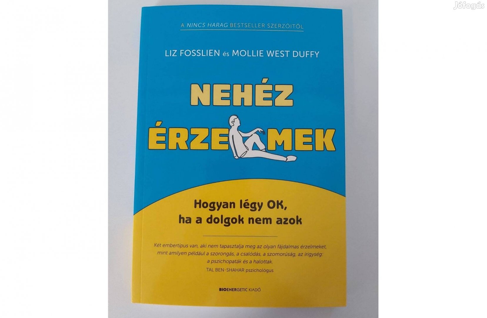 Liz Fosslien Mollie West Duffy: Nehéz érzelmek