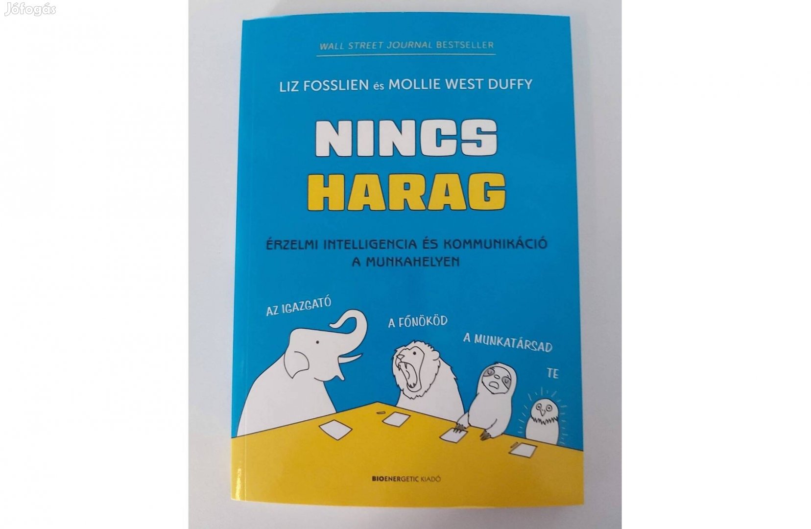 Liz Fosslien Mollie West Duffy: Nincs harag