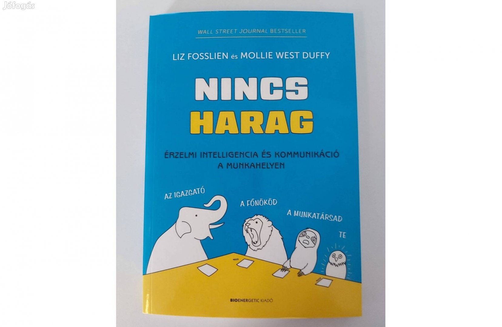 Liz Fosslien Mollie West Duffy: Nincs harag