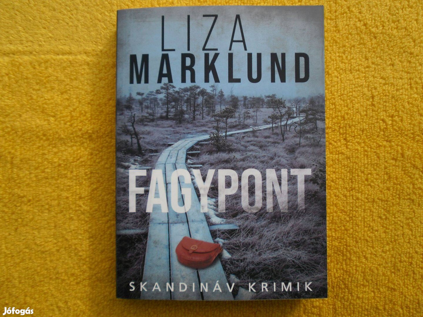 Liza Marklund: Fagypont /Skandináv krimik/