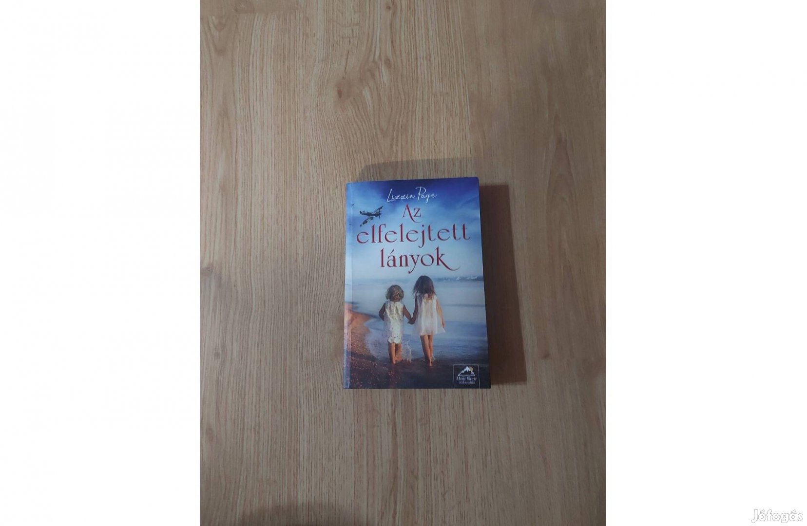 Lizzie Page: Az elfelejtett lányok
