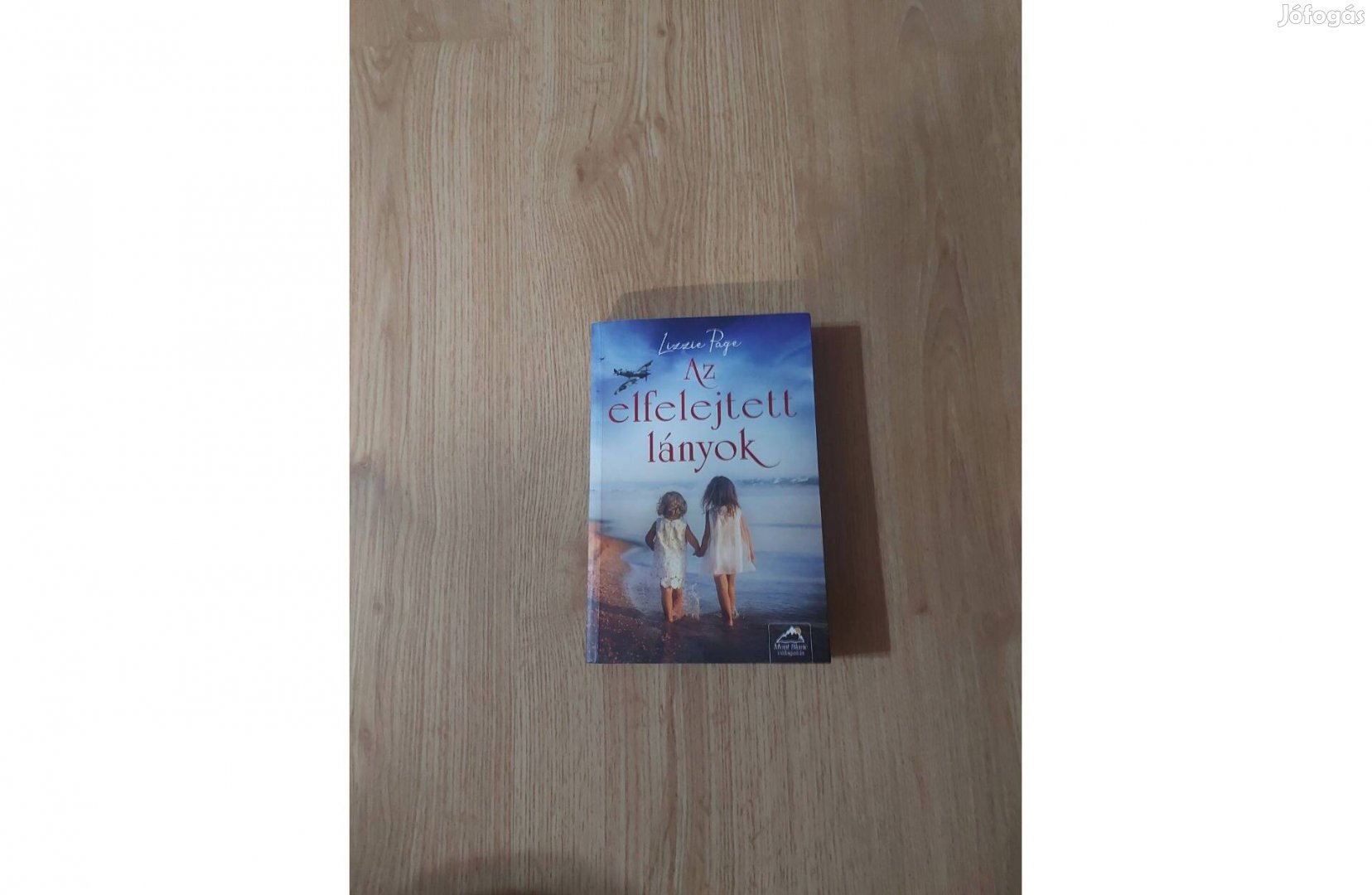 Lizzie Page: Az elfelejtett lányok