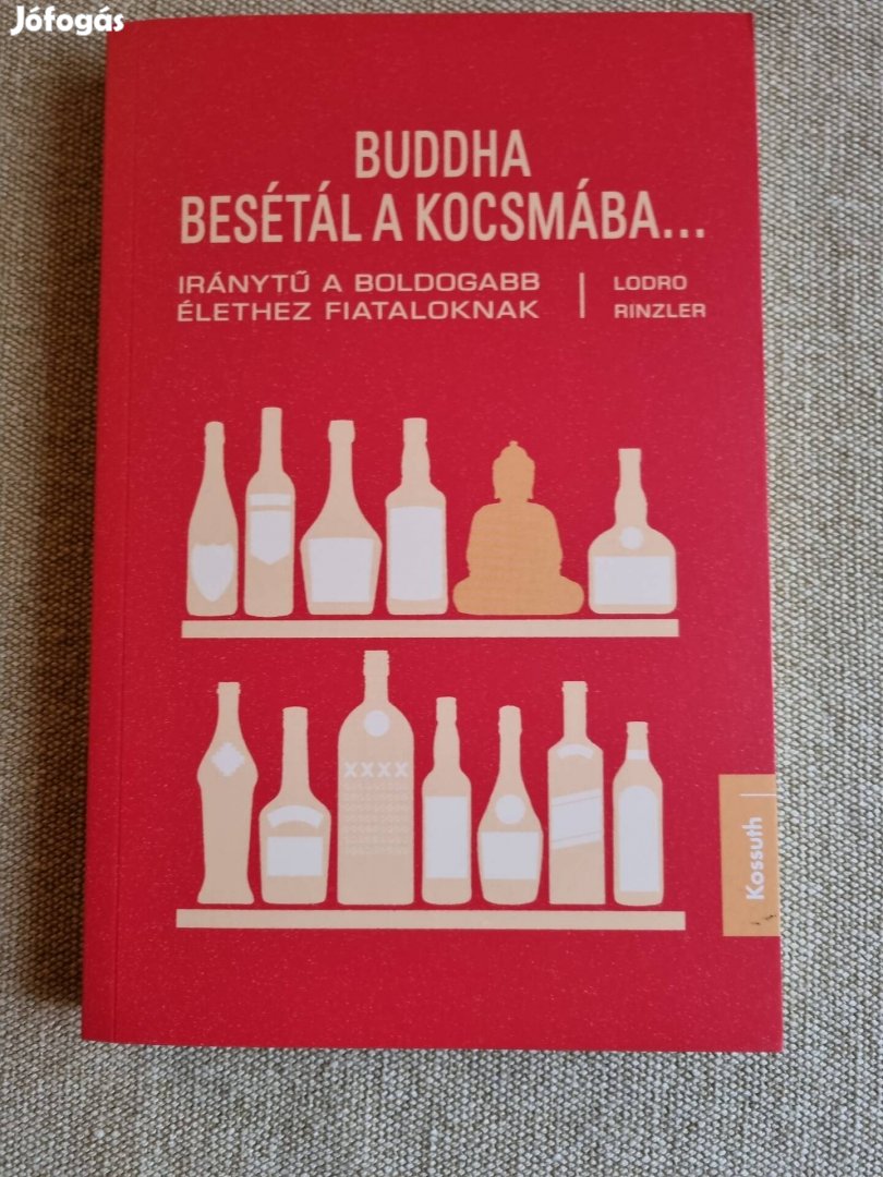 Lodro Rinzler, Buddha bevétel a kocsmába...