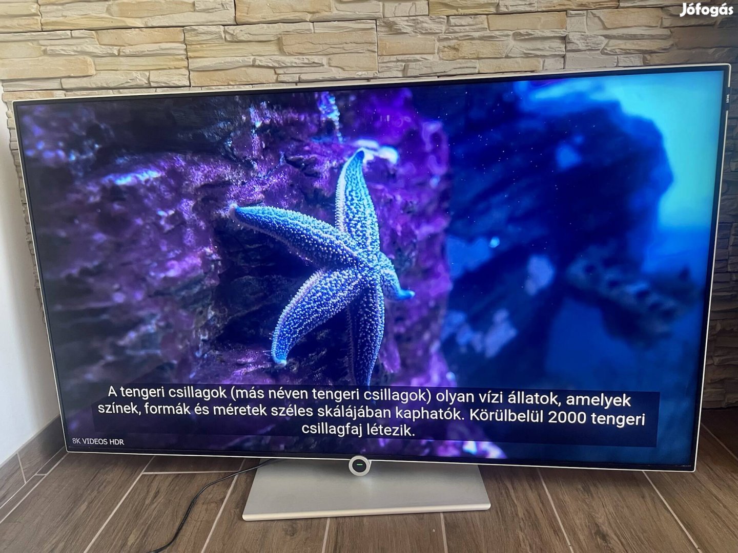 Loewe bild UHD 4K Smart led tv. 140 cm!