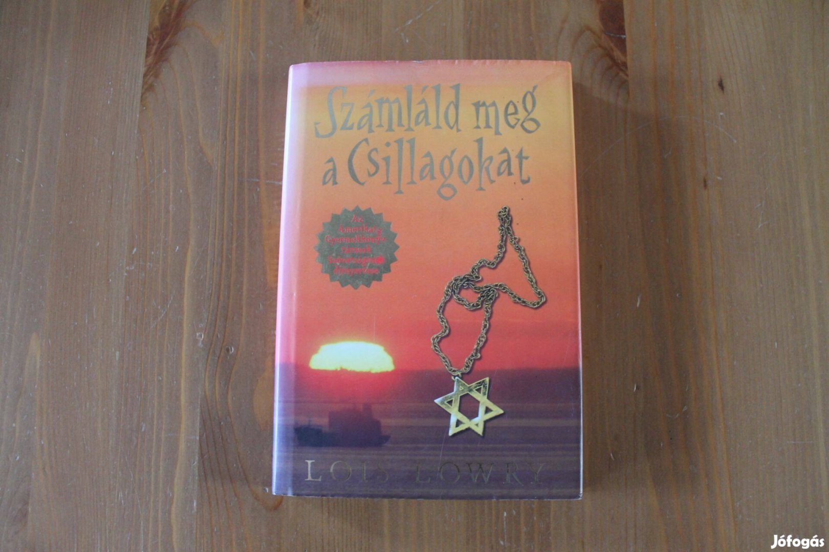 Lois Lowry - Számláld meg a csillagokat