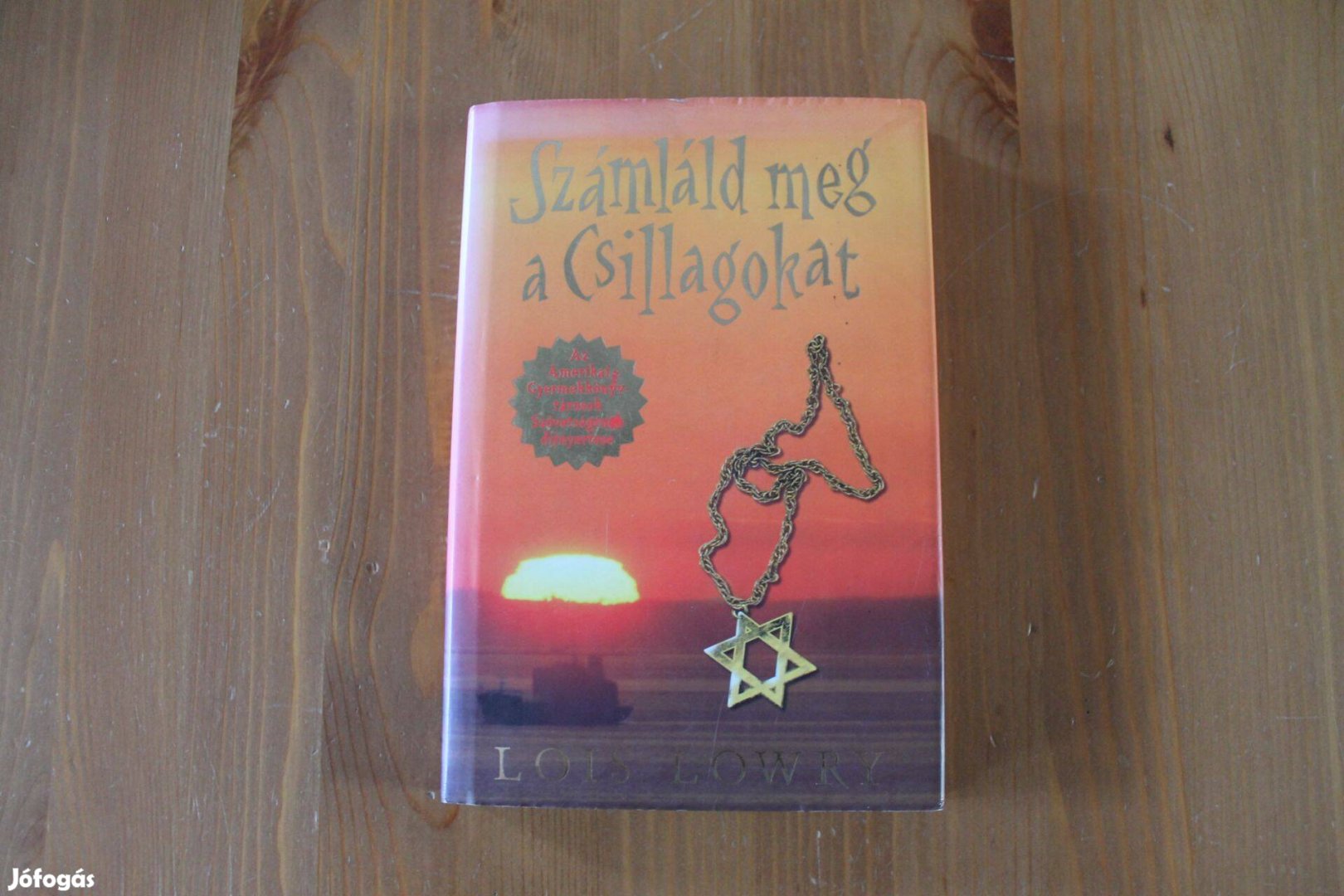 Lois Lowry - Számláld meg a csillagokat