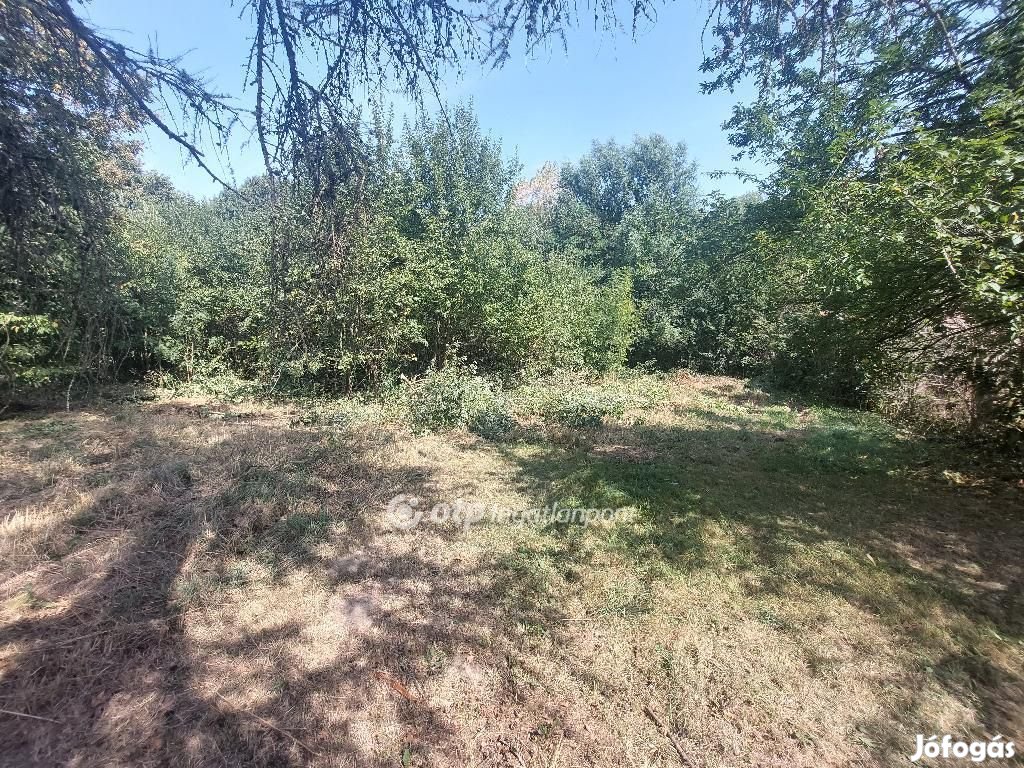 Lókúti 2727 nm-es telek eladó