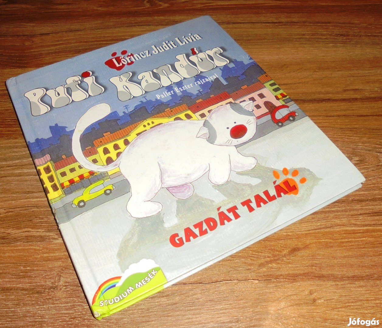 Lőrincz Judit Lívia: Pufi Kandúr gazdát talál