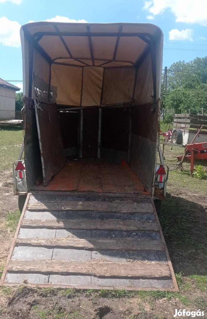 Lószállító eladó 