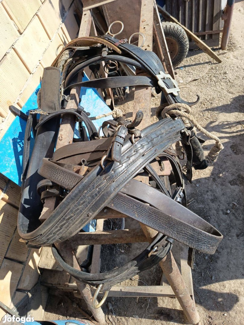 Lószerszámok eladó