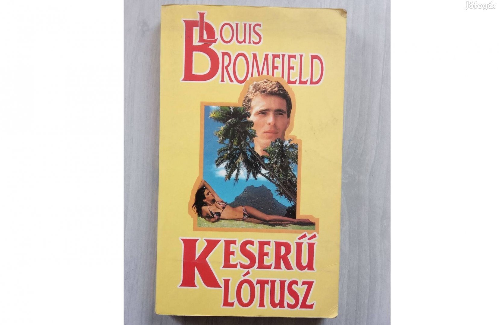 Louis Bromfield Keserű lótusz Árvíz Indiában 2