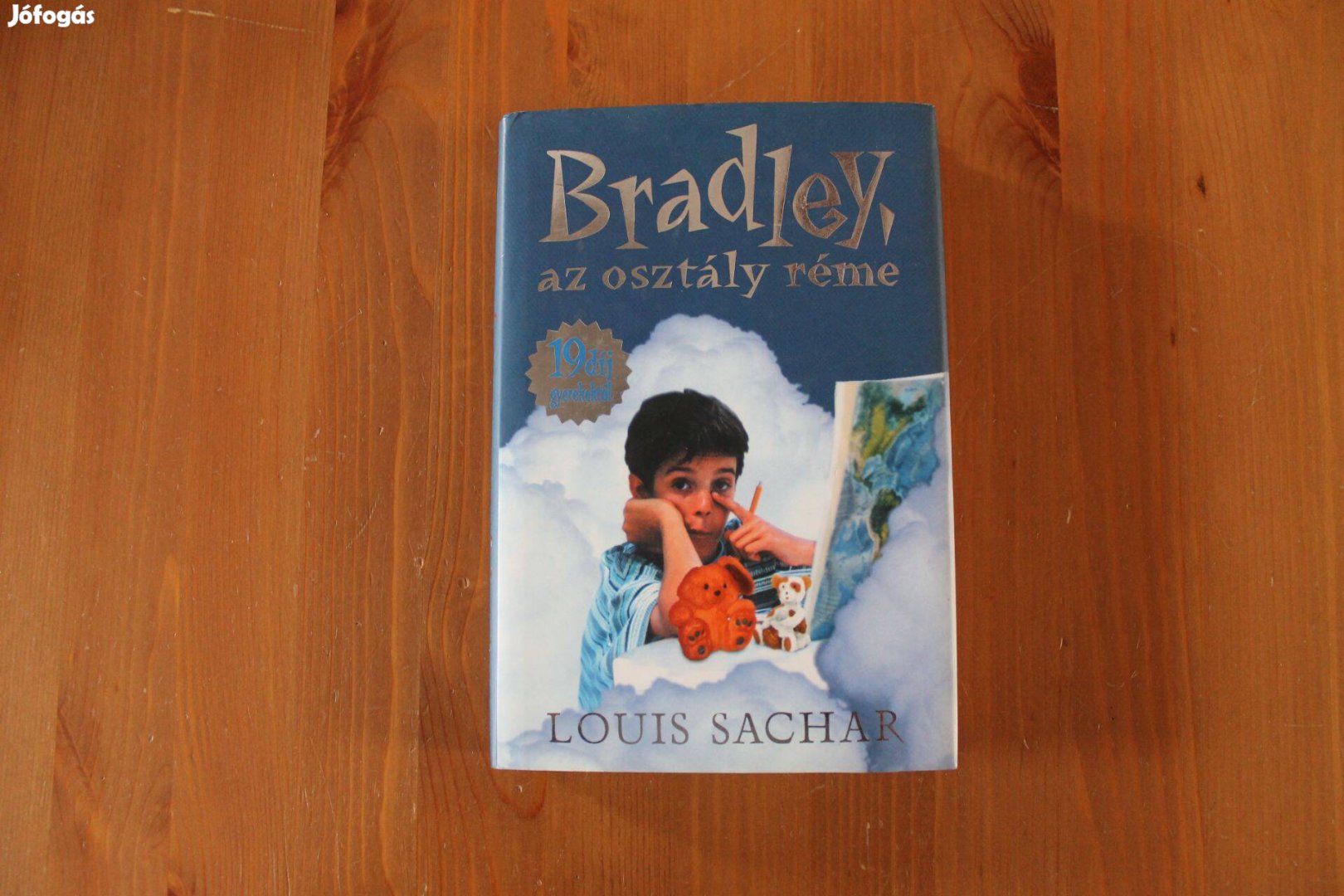 Louis Sachar - Bradley, az osztály réme