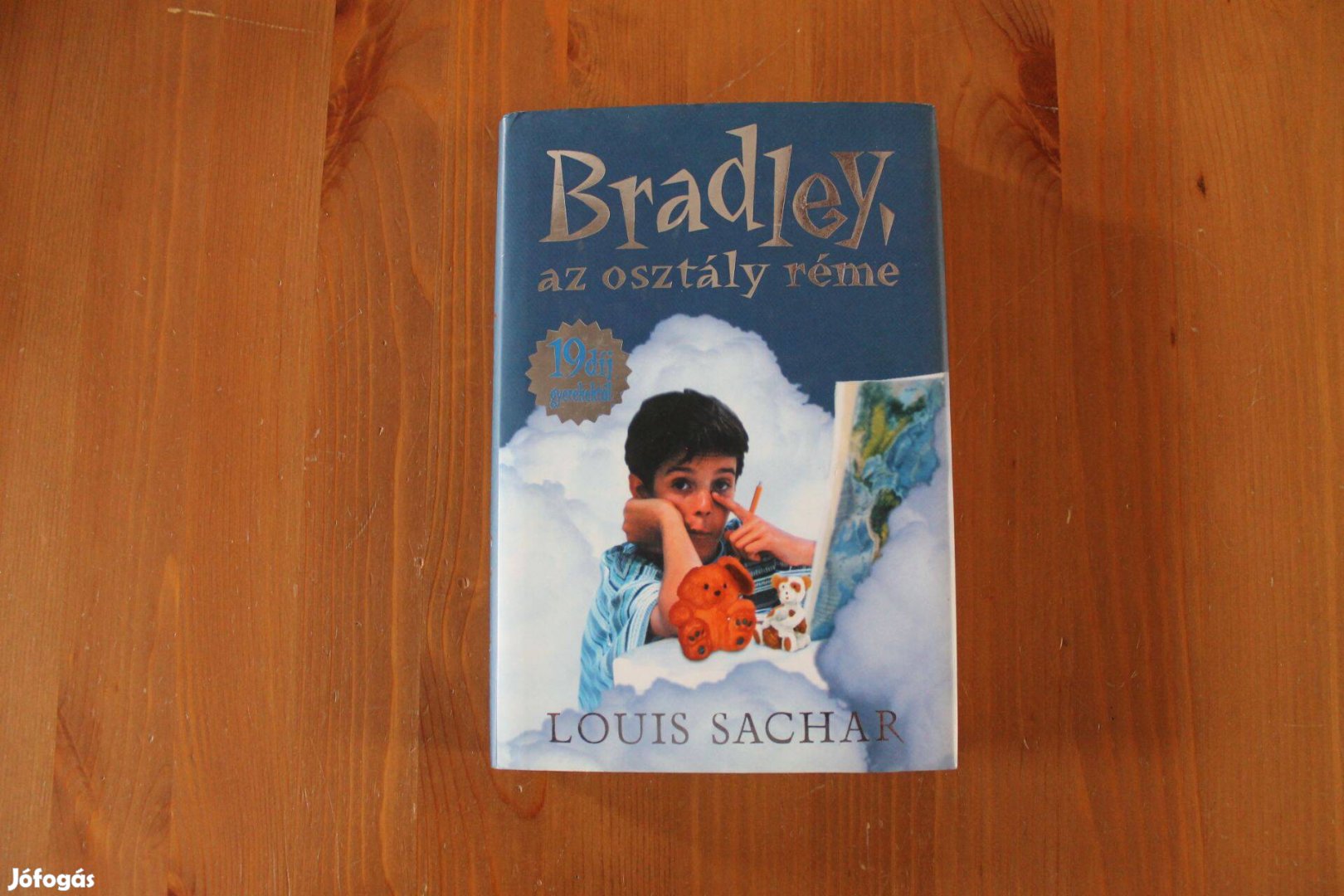 Louis Sachar - Bradley, az osztály réme