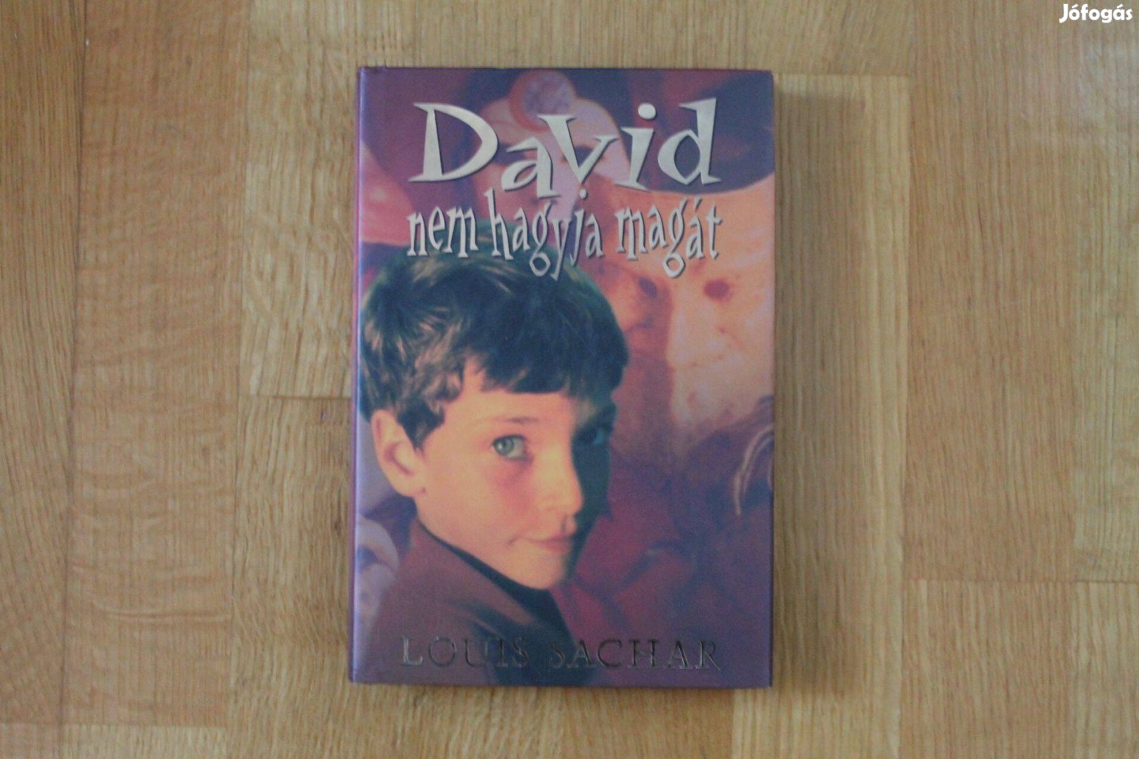 Louis Sachar - David nem hagyja magát