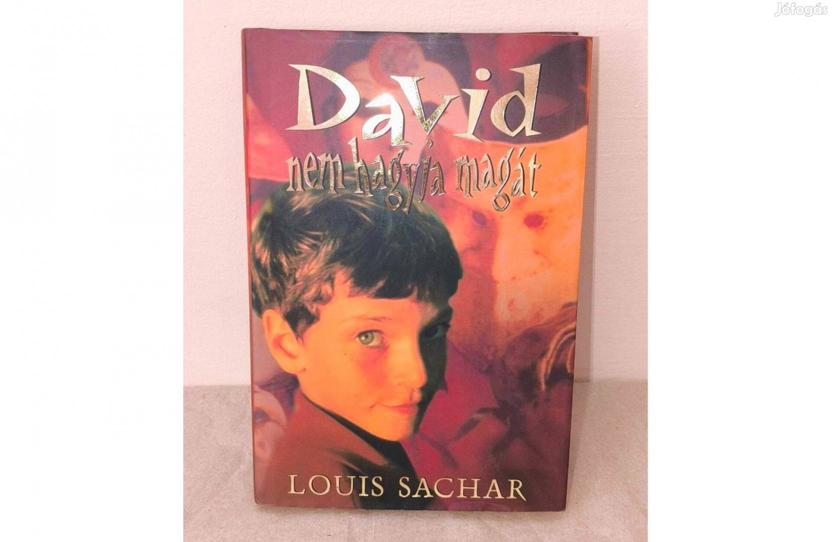 Louis Sachar - David nem hagyja magát