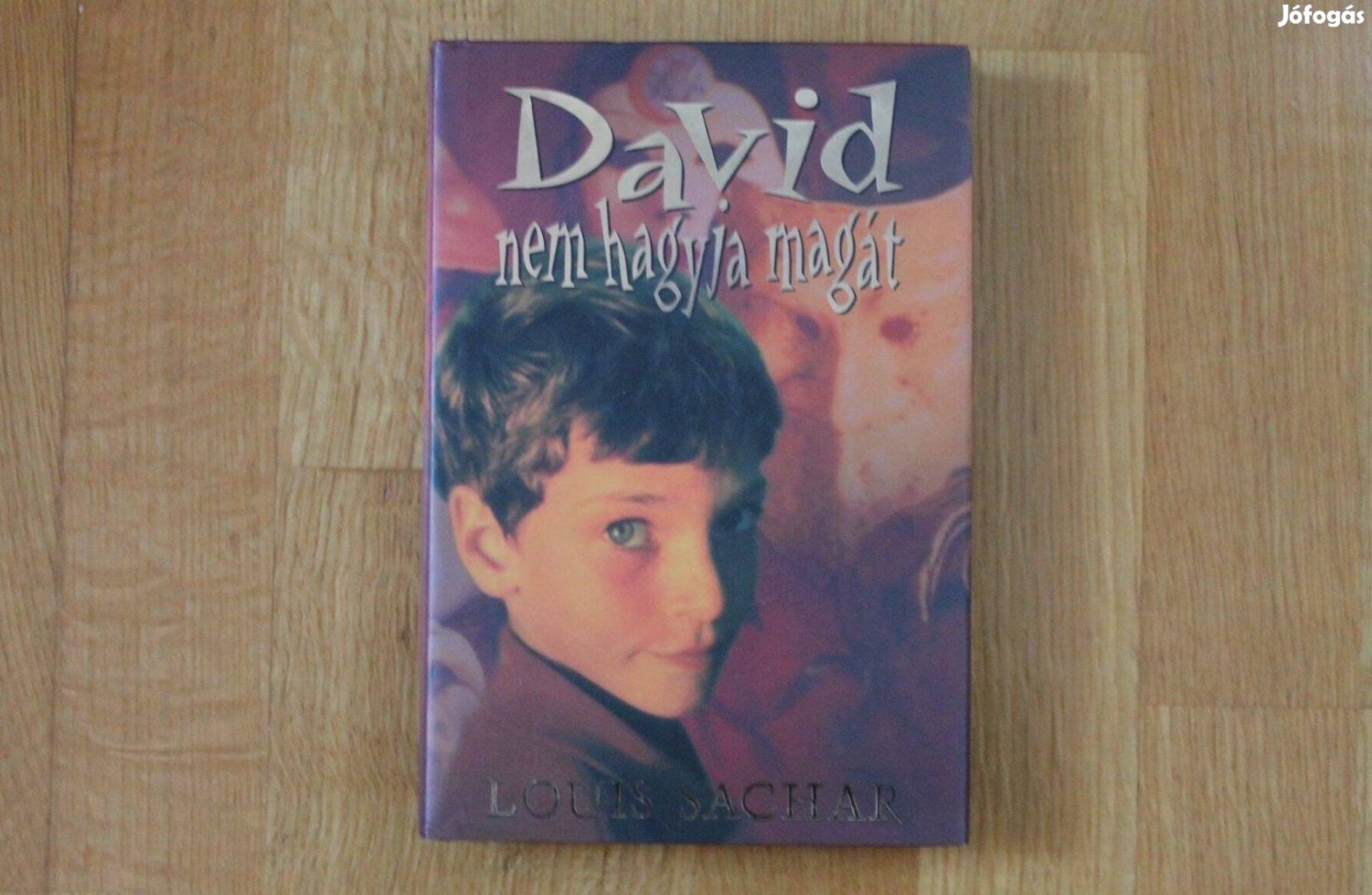 Louis Sachar - David nem hagyja magát