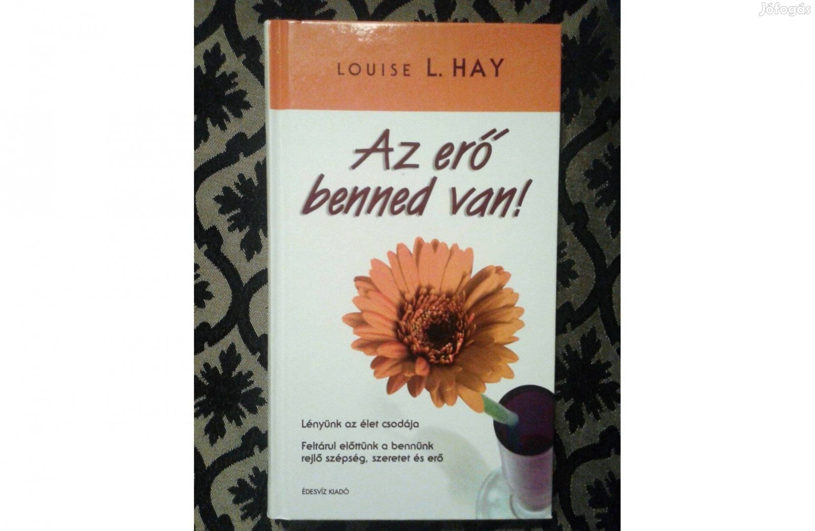 Louise L.Hay: Az erő benned van 4 200 Ft