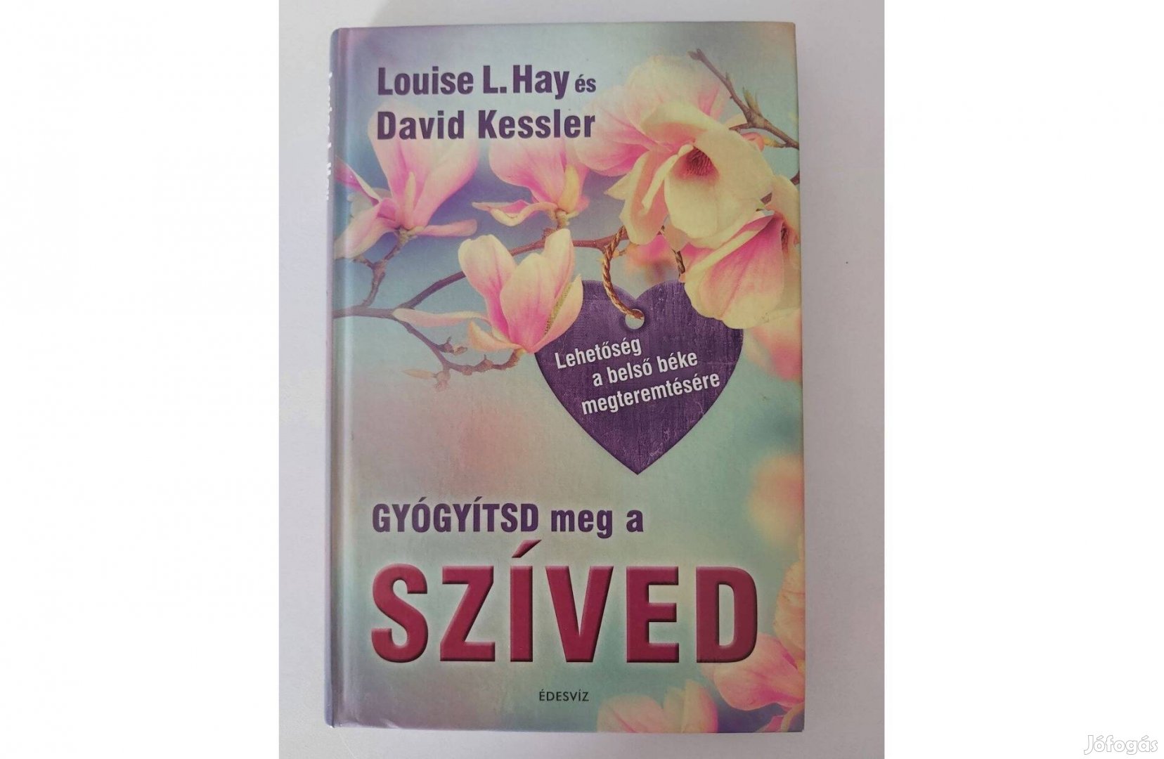 Louise L. Hay David Kessler: Gyógyítsd meg a szíved