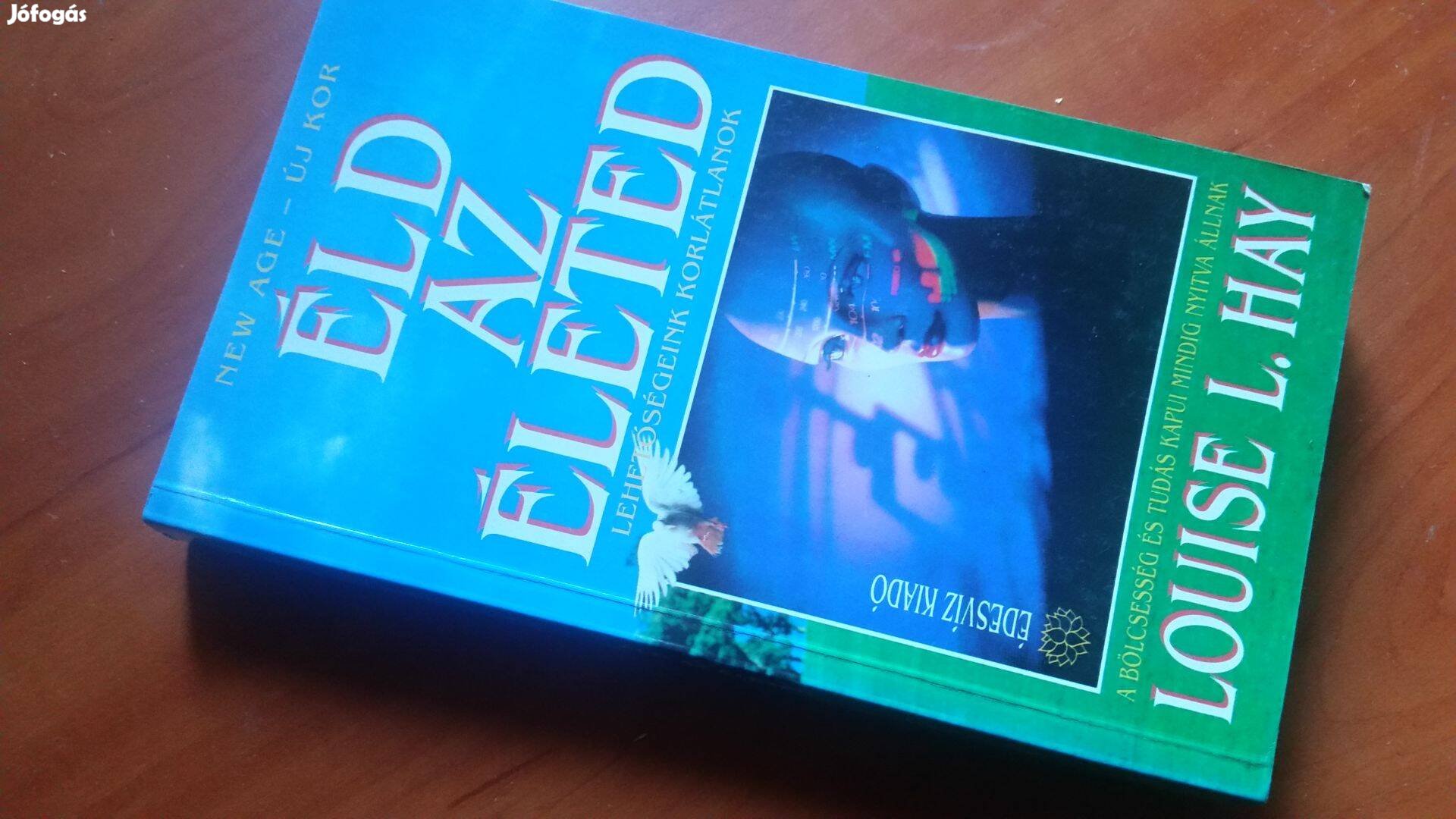 Louise L. Hay Éld az életed!