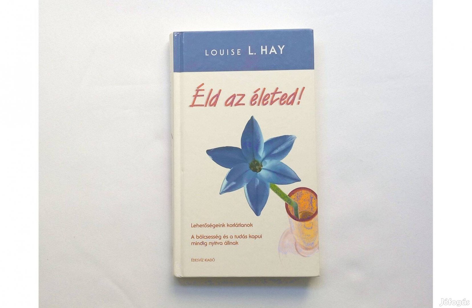 Louise L. Hay: Éld az életed! * Lehetőségeink korlátlanok * Édesvíz