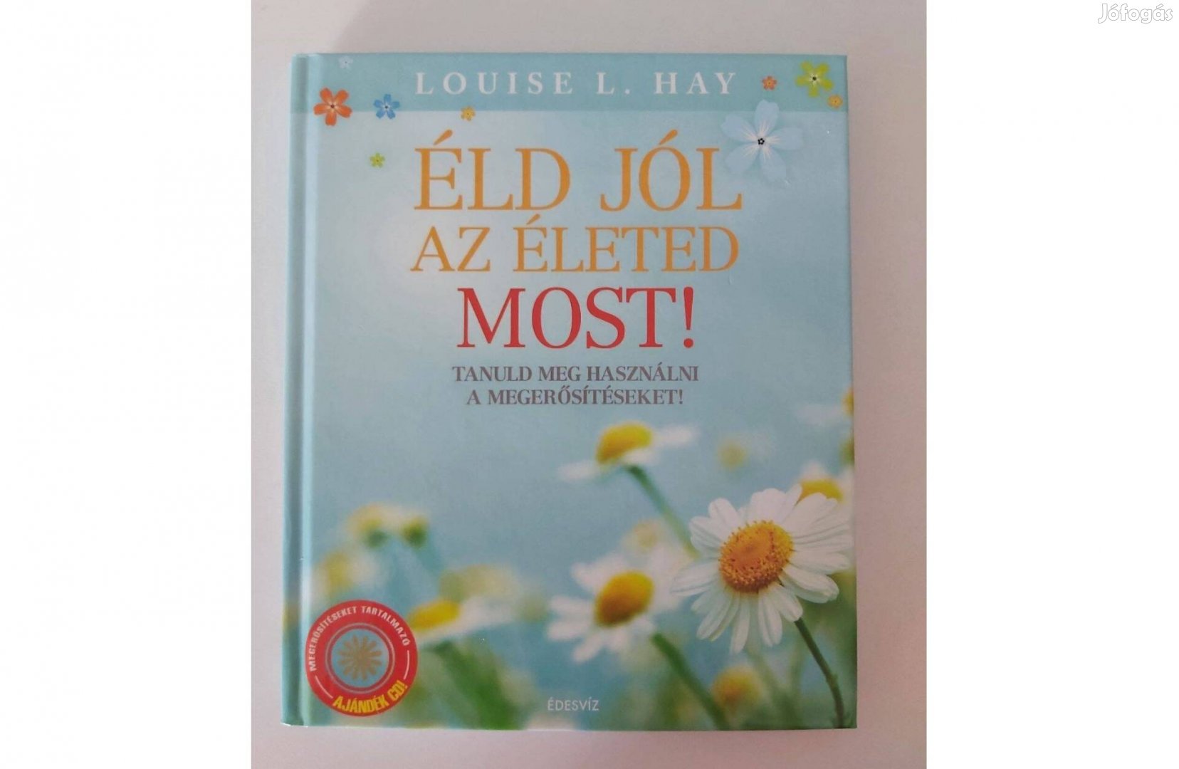 Louise L. Hay: Éld jól az életed most!