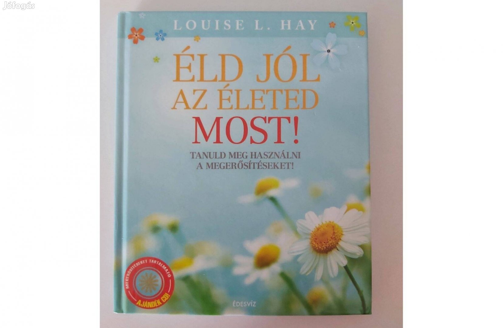 Louise L. Hay: Éld jól az életed most!