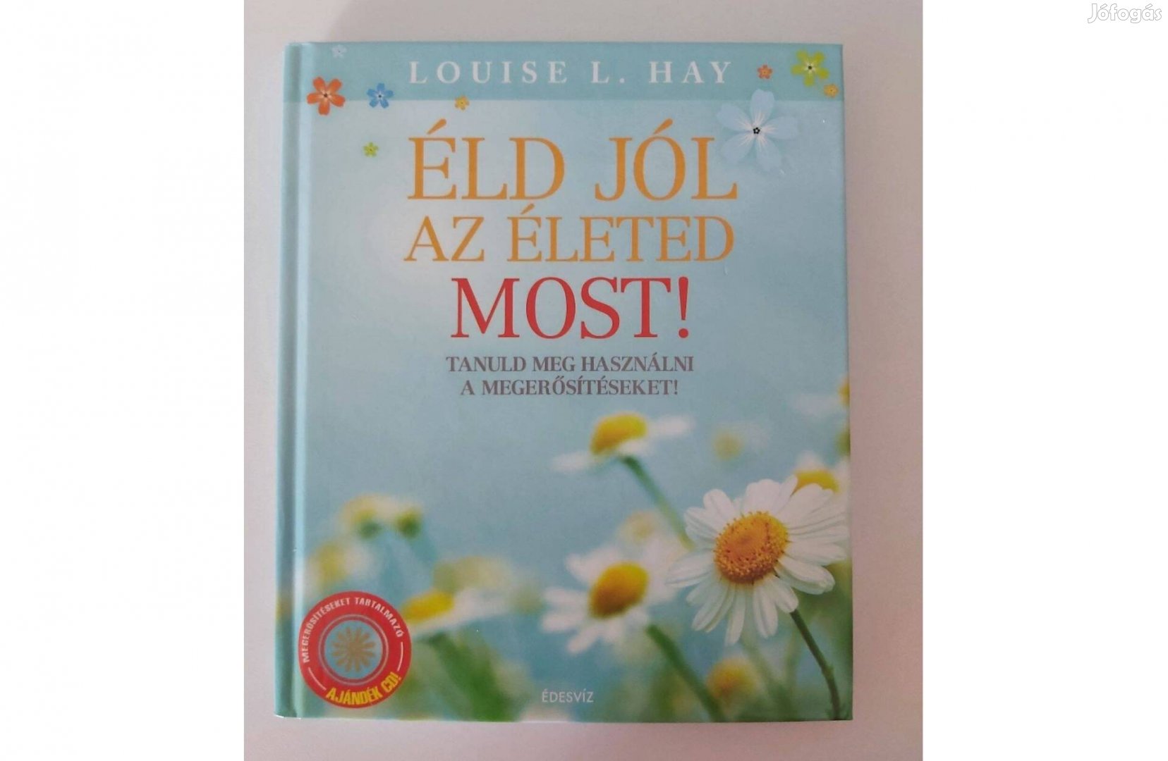 Louise L. Hay: Éld jól az életed most!