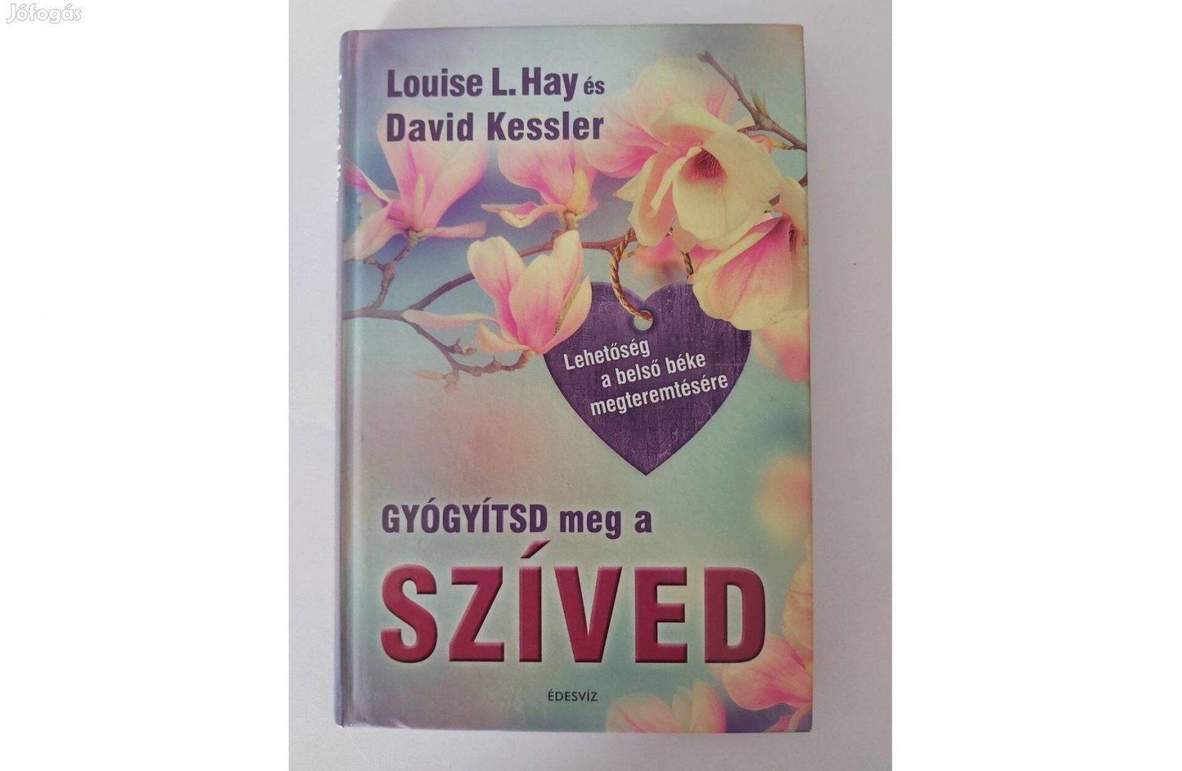 Louise L. Hay - David Kessler: Gyógyítsd meg a szíved