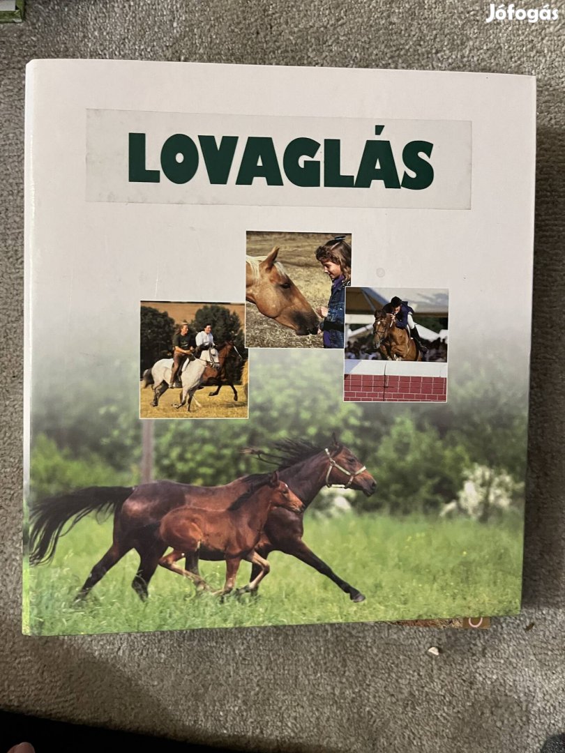 Lovaglás gyujtoben