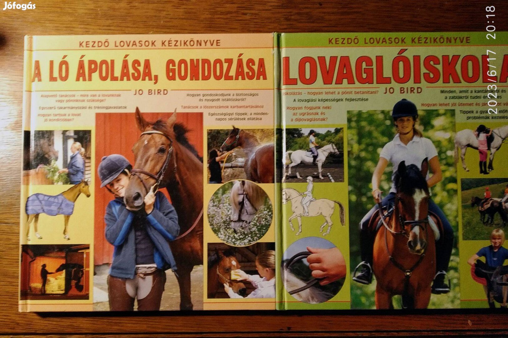 Lovaglóiskola A ló ápolása, gondozása - Kezdő lovasok kézikönyve Jo Bi