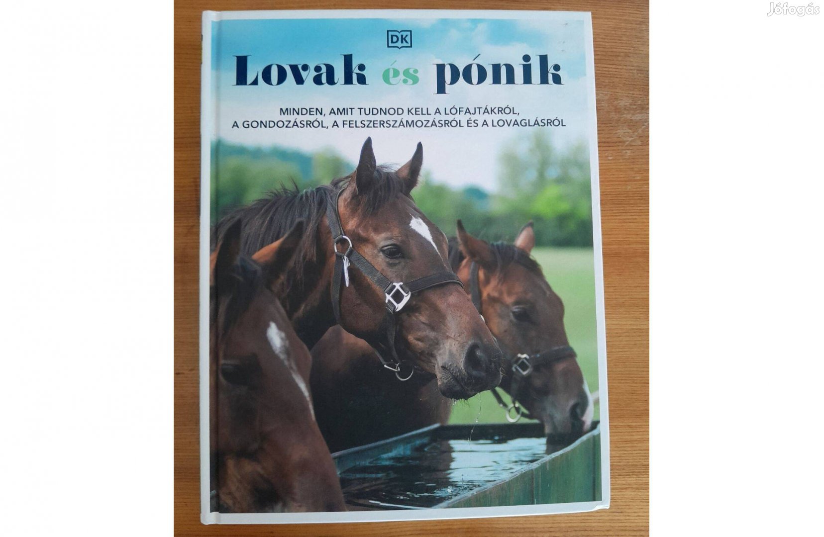 Lovak és pónik