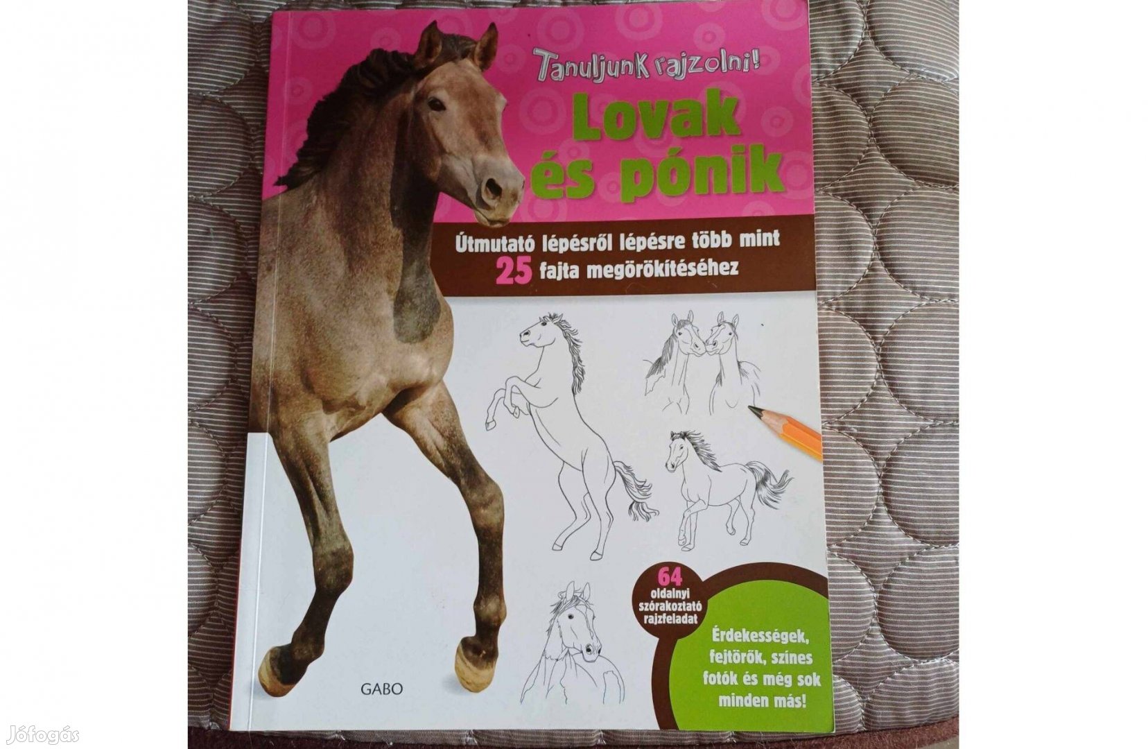Lovak és pónik. Tanulj lovakat rajzolni!
