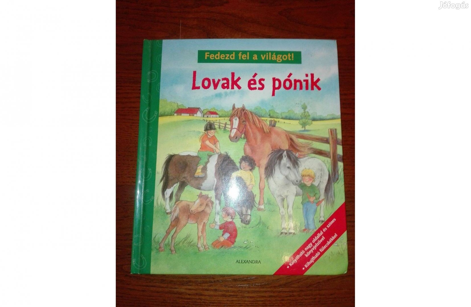 Lovak és pónik könyv, újszerű