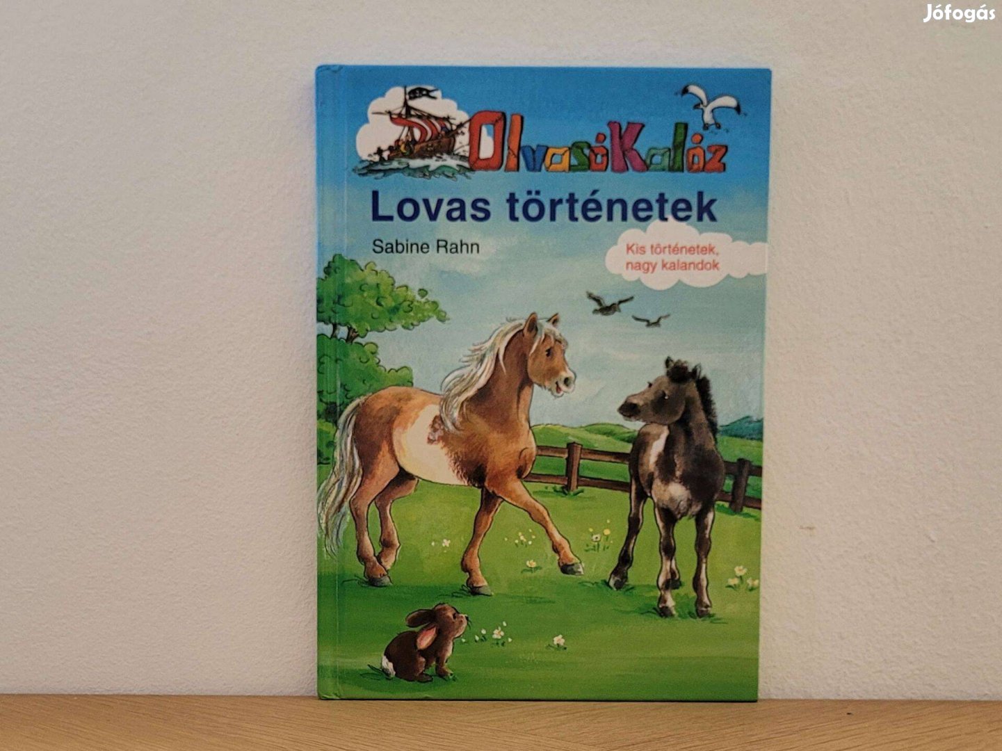 Lovas történetek - Sabine Rahn könyv eladó