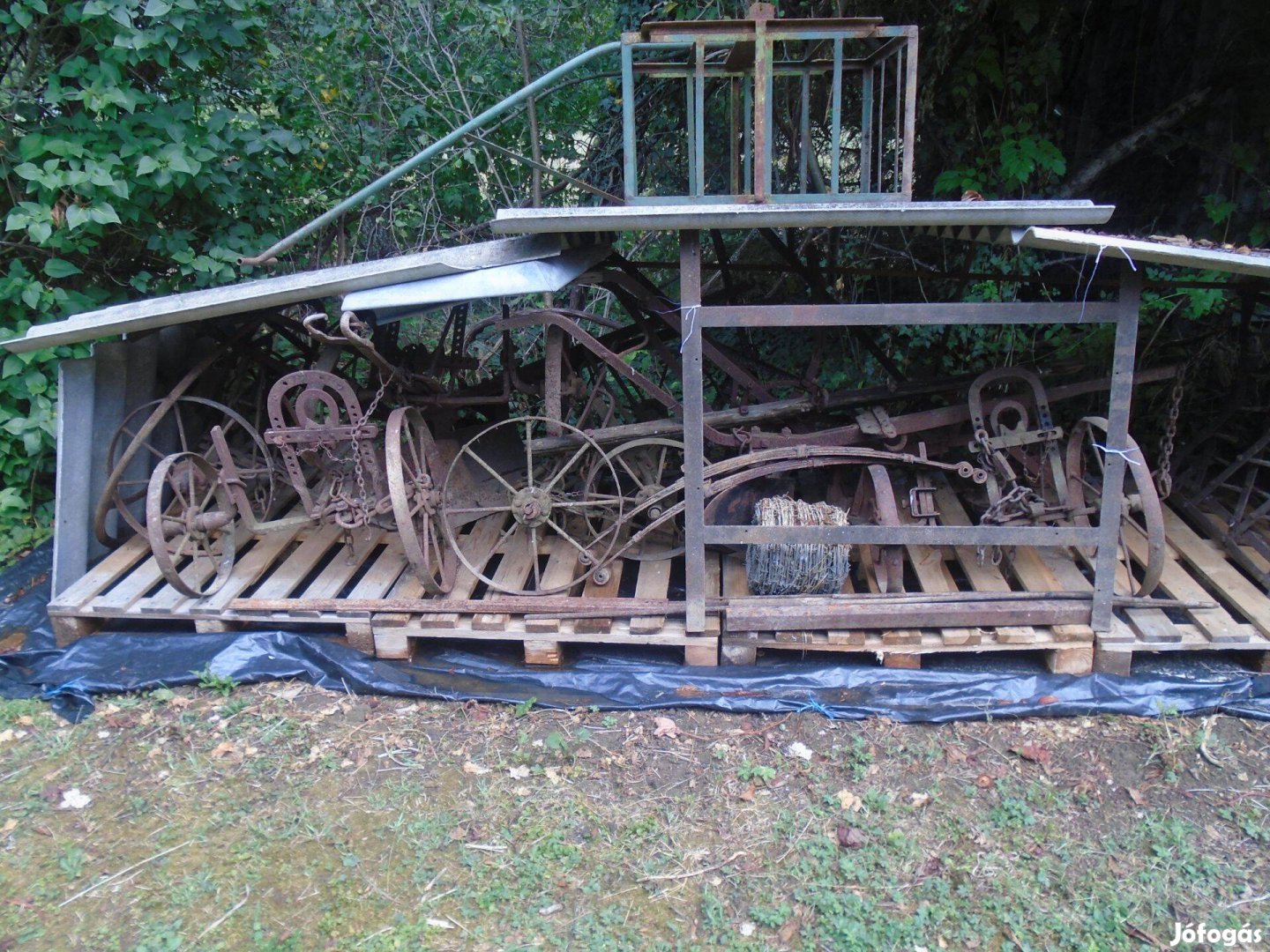 Lovasborona,horoló és lovaseke