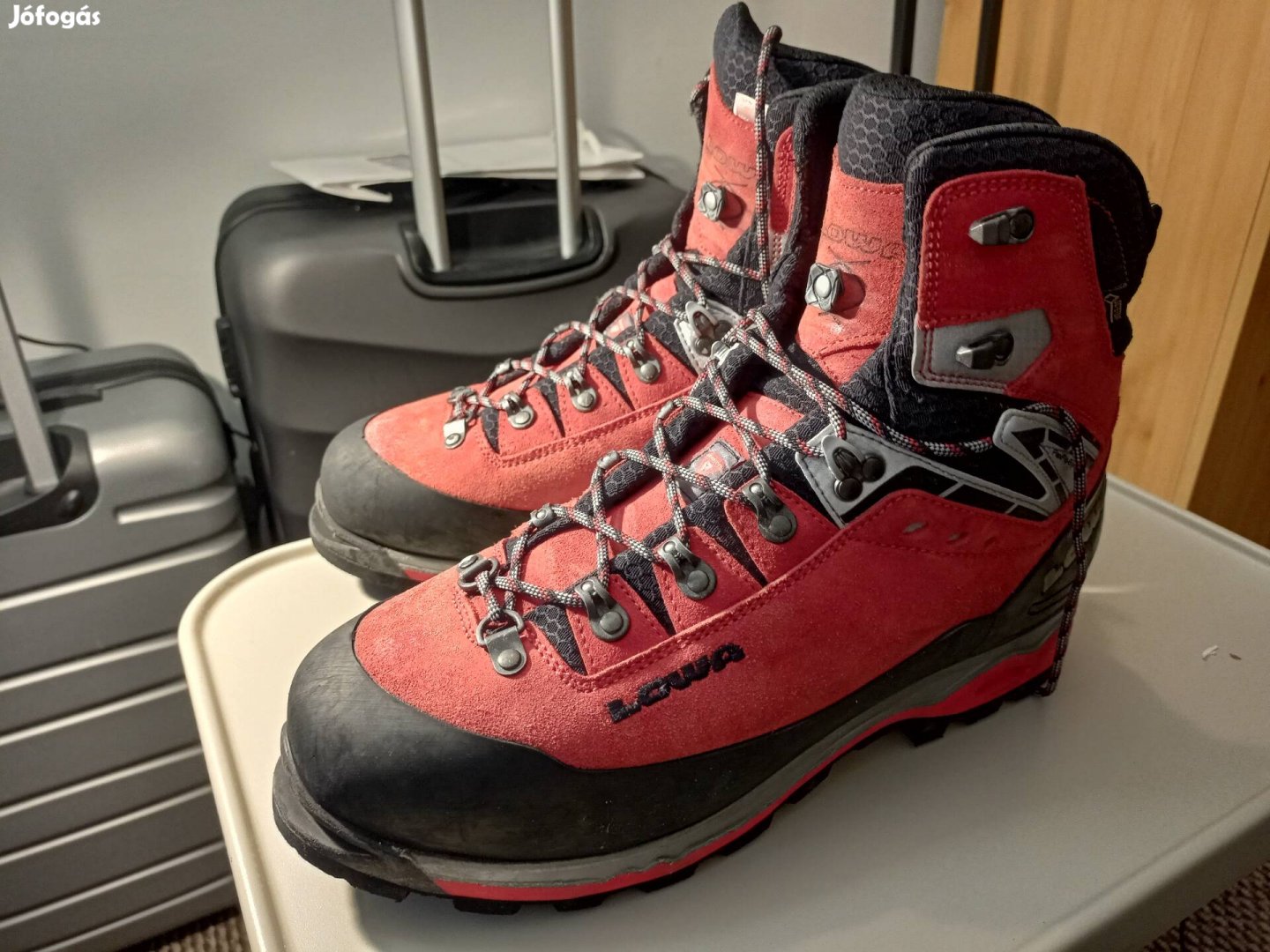 Lowa mountain expert gtx on sale evo