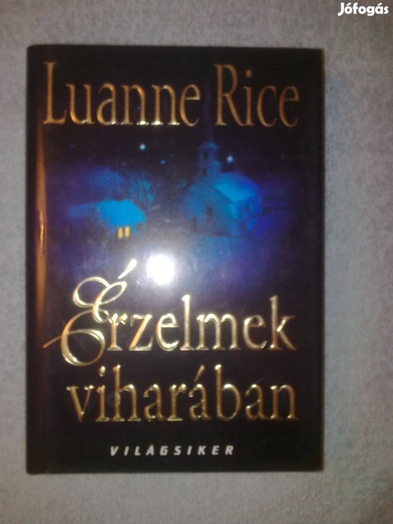 Luanne Rice: Érzelmek viharában / Romantikus könyv