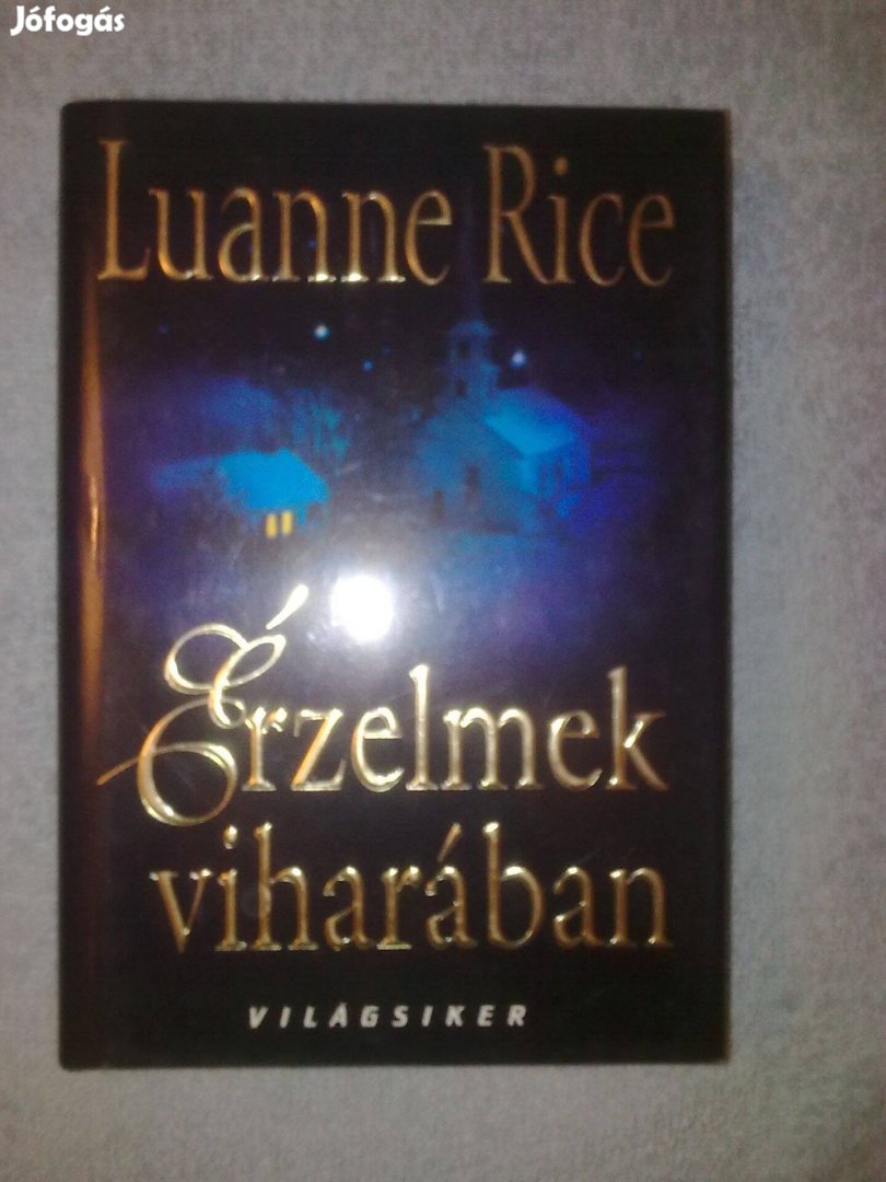 Luanne Rice: Érzelmek viharában / Romantikus könyv