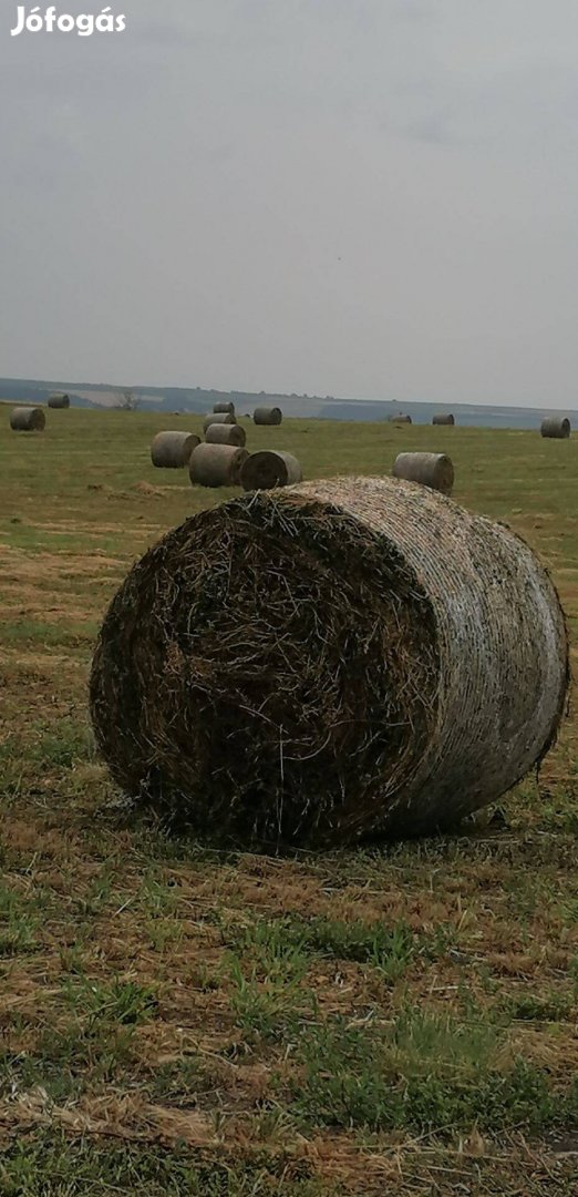 Lucerna bála eladó