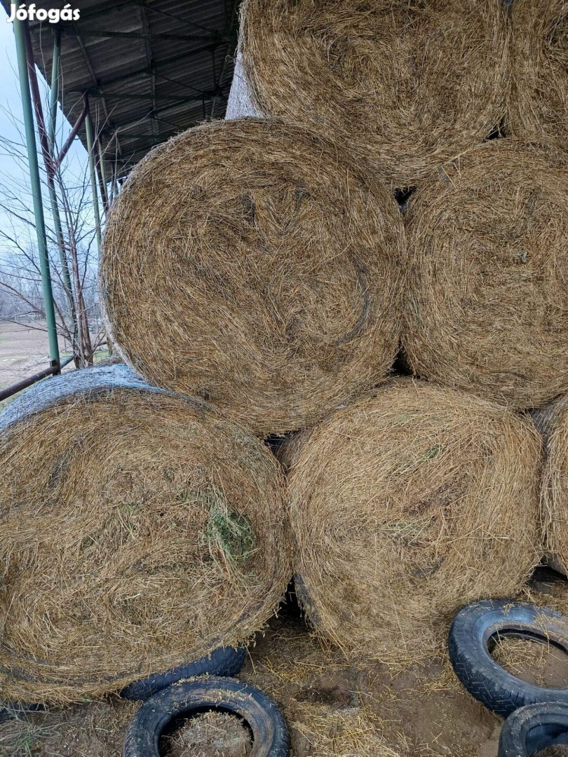 Lucerna fedett helyen tárolt takarmány eladó