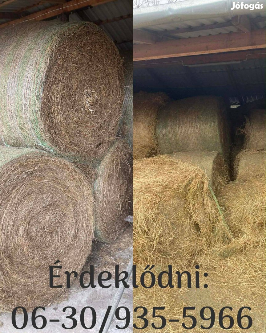 Lucerna nagybálás eladó