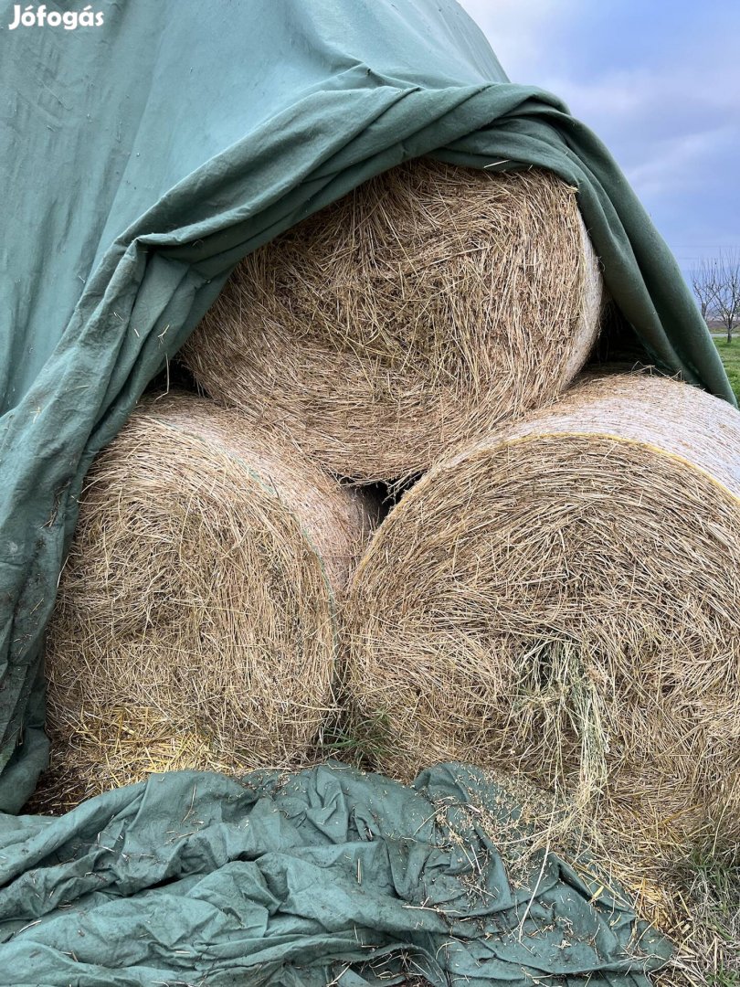 Lucernaszéna Pécs mellett eladó